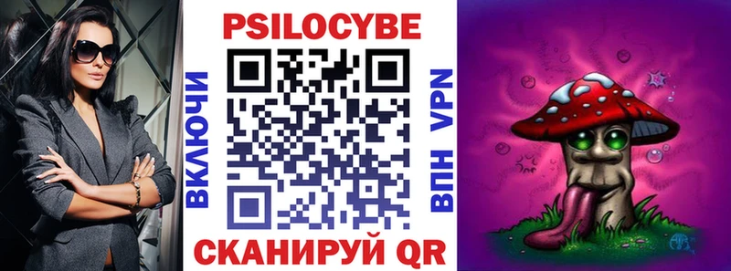 Купить закладки  Карачаевск  Галлюциногенные грибы Psilocybe 